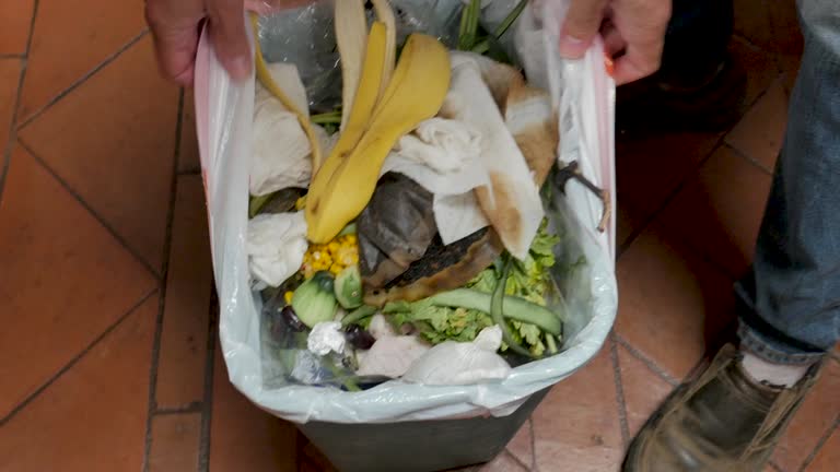 Professional Junk Removal Services in Copeland, OK